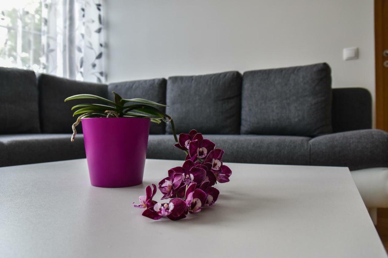 Mardi Downtown Apartment Tallin Exterior foto